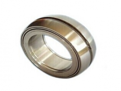 Spherical Double Row Full Complement Rolle Bearings(positioning type)