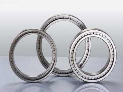 Double Row Full Complement Cylindrical Roller Bearings （Floating Type）